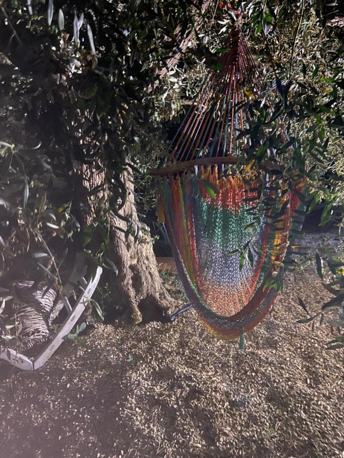شقة La Casa Di Gioggio Ioppolo Giancaxio المظهر الخارجي الصورة